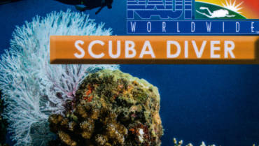 NAUI Scuba Diver